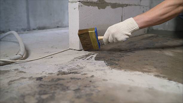 SJ Waterproofing Pros Exterior Waterproofing coverage map for Forest Park, IL and surrounding area